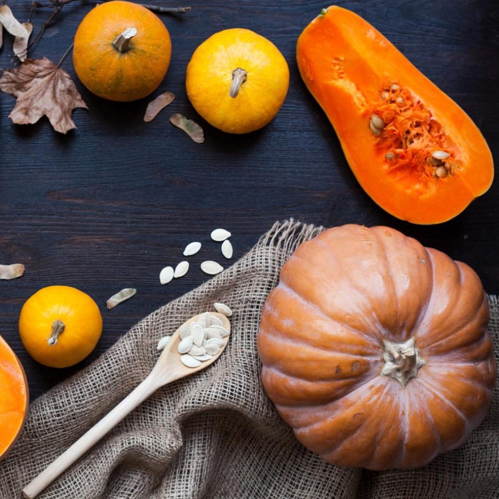 tutto quello che c'è da sapere sulla zucca